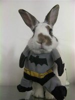 Batman bunny.jpg