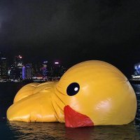 rubberduckdeflated.jpg