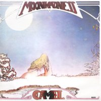 Camel-moonmadness.jpg