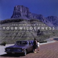 The Pineapple Thief - Your Wilderness.jpg