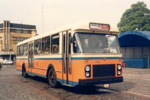 4191.jpg