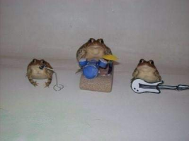 Frog Band.png