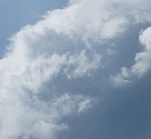 20220526_144200.jpg