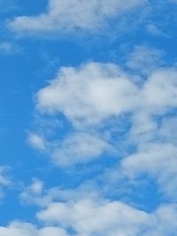 20220728_083648.jpg