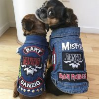 dog-clothing-custom-patched-dog-battle-jacket-9_2000x.jpeg