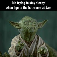 trying-to-stay-sleepy-when-i-go-to-the-bathroom-at-4am-above-a-still-of-yoda-with-his-eyes-clo...jpg