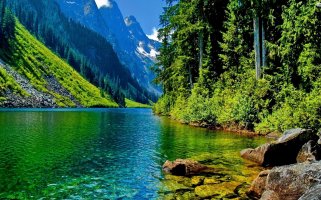 forest-mountain-river-Nature-Landscape-Desktop-Wallpaper.jpg