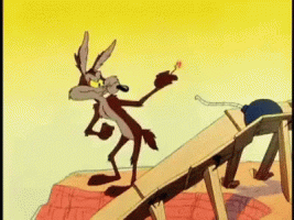 looney-tunes-coyote.gif