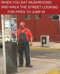 plumberpipes.jpg