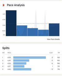 pace analysis 30 June 2023.jpeg