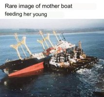 RarePictureOfABoat.jpg