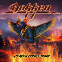 dokken1.png