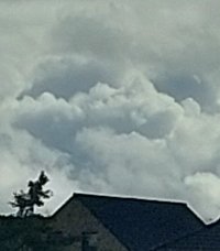 20231022_140419.jpg