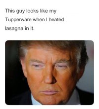 lasagna.jpg