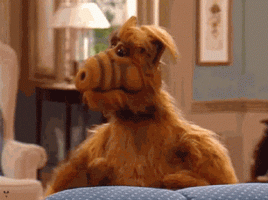 alf(1).gif