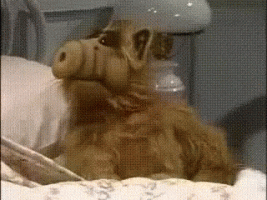 alf-screaming(1).gif