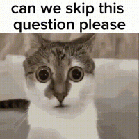 mrnoob-can-we-skip-this-question-please.gif