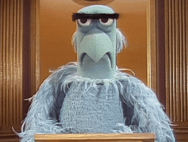 muppetwiki-muppet-wiki (1).gif