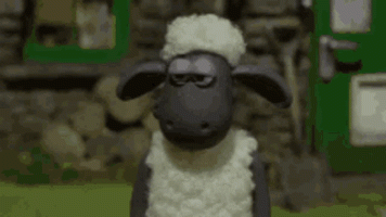 shaun-the-sheep.gif