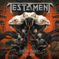 Testament_-_The_Brotherhood_of_the_Snake_2016.jpg