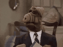 alf-tv-show.gif