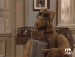 alf-fifidonia (1).gif