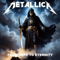 Metallica11.jpg