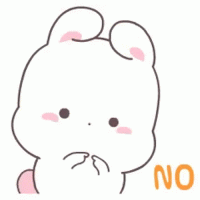 bunny-shy-no-0o2bx2d2dqqaokzn.gif