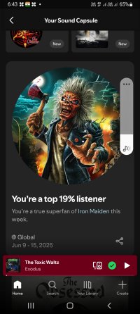 Screenshot_20250620-184315_Spotify.jpg