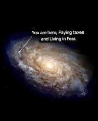 1750659201897.png