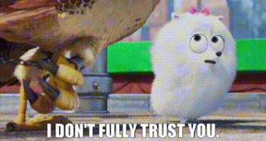 9d056e9f-0ca2-4086-b2cd-e5b0209c2e0d_text.gif