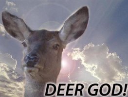 tumblr_ljm2c6WYfs1qb8ze8.jpg