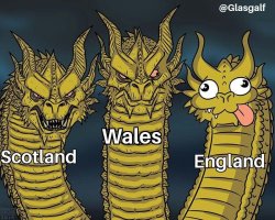 1000034603.jpg
