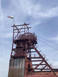 IMG_4761.jpeg