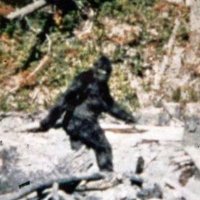 bigfoot.jpg
