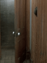 1000036737.gif
