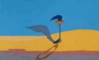 giphy.gif