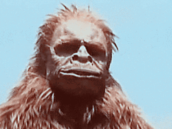 1000102314.gif