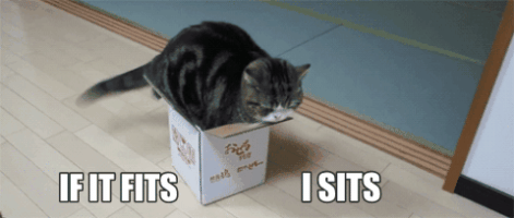 1*pRHVyRNahaPt9C-1aZtYfA.gif 1*pRHVyRNahaPt9C-1aZtYfA.gif