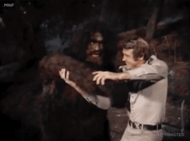 tumblr_obvs2m5nBl1qmob6ro1_400.gif
