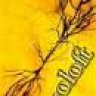 Zoloft